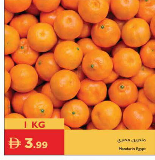 Mandarin from Egypt available at Istanbul Supermarket in UAE - Al Ain