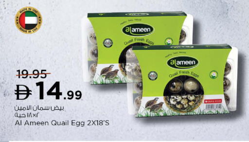 available at نستو هايبرماركت in الإمارات العربية المتحدة , الامارات - أم القيوين‎