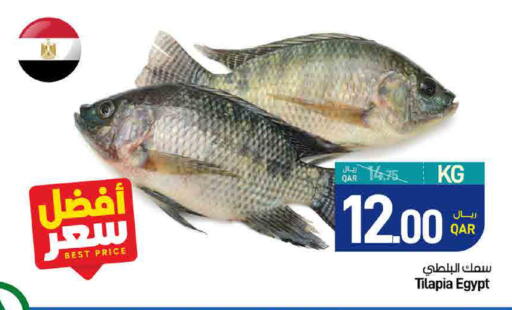 available at ســبــار in قطر - الدوحة