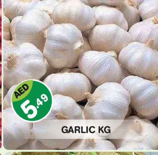 Garlic available at Baniyas Spike  in UAE - Fujairah