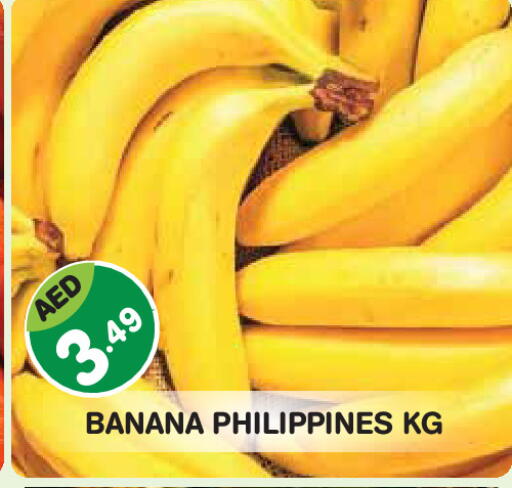Banana from Philippines available at سنابل بني ياس in الإمارات العربية المتحدة , الامارات - ٱلْفُجَيْرَة‎