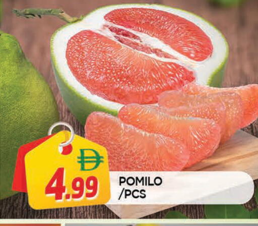 available at المدينة in الإمارات العربية المتحدة , الامارات - الشارقة / عجمان