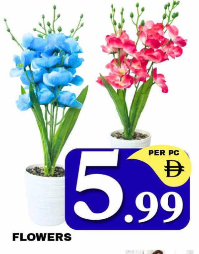 available at NEW DAY CENTER in UAE - Sharjah / Ajman