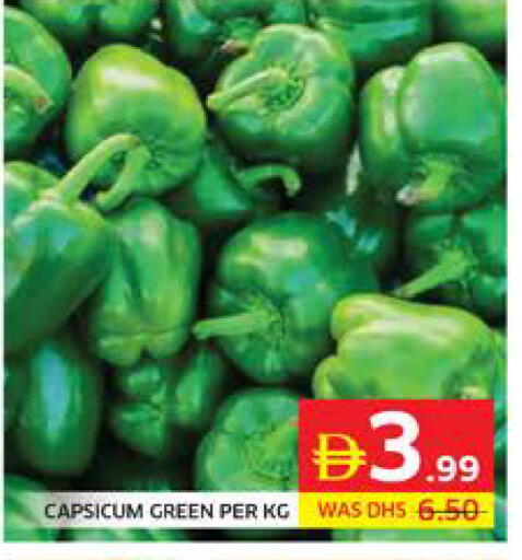 Capsicum available at الامارات السبع سوبر ماركت in الإمارات العربية المتحدة , الامارات - أبو ظبي