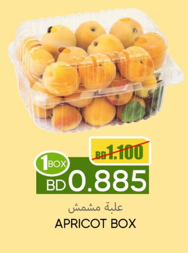 Apricot available at Day to Day Discount Center in Bahrain