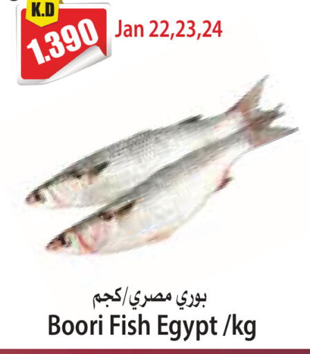 available at 4 SaveMart in Kuwait - Kuwait City