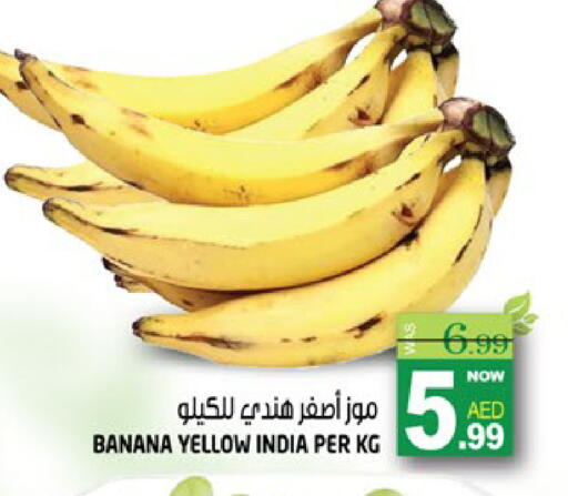 Banana from India available at هاشم هايبرماركت in الإمارات العربية المتحدة , الامارات - الشارقة / عجمان