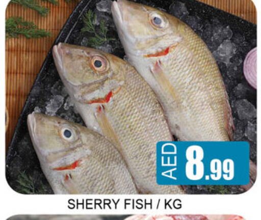 available at Lucky Center in UAE - Sharjah / Ajman