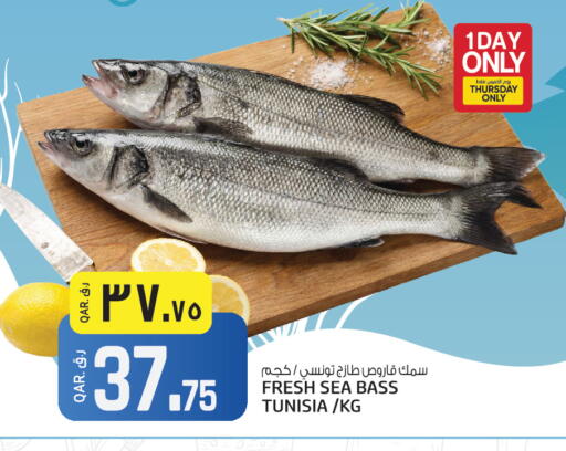 available at Saudia Hypermarket in Qatar - Al Shamal