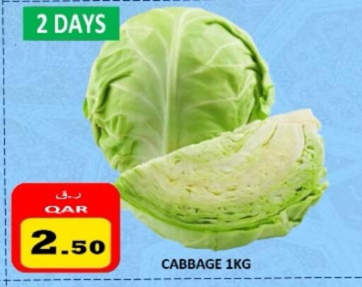 Cabbage available at Regency Group in Qatar - Al-Shahaniya