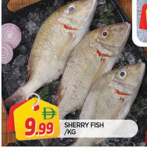 available at AL MADINA in UAE - Sharjah / Ajman