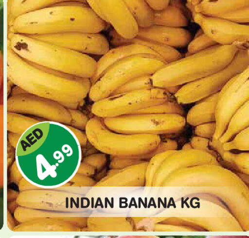 Banana from India available at سنابل بني ياس in الإمارات العربية المتحدة , الامارات - ٱلْفُجَيْرَة‎