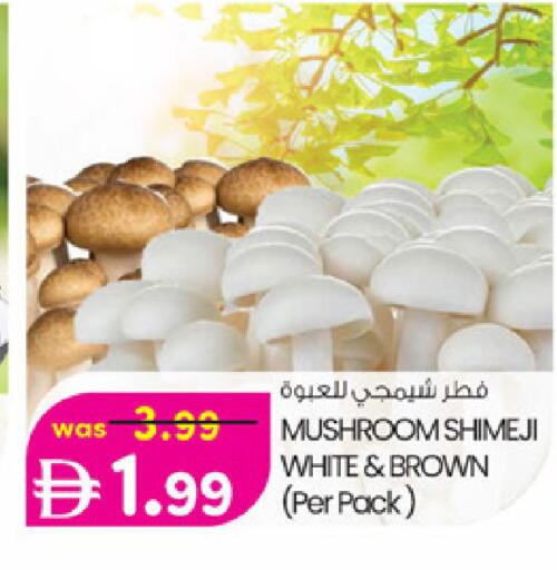 Mushroom available at K M Trading  in UAE - Sharjah / Ajman