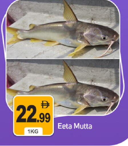 available at سوق طلال in الإمارات العربية المتحدة , الامارات - دبي