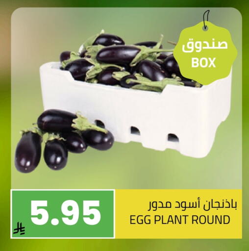available at Astra Markets in KSA, Saudi Arabia, Saudi - Tabuk