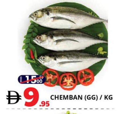 available at اكسبرس المدينة هايبرماركت in الإمارات العربية المتحدة , الامارات - أبو ظبي