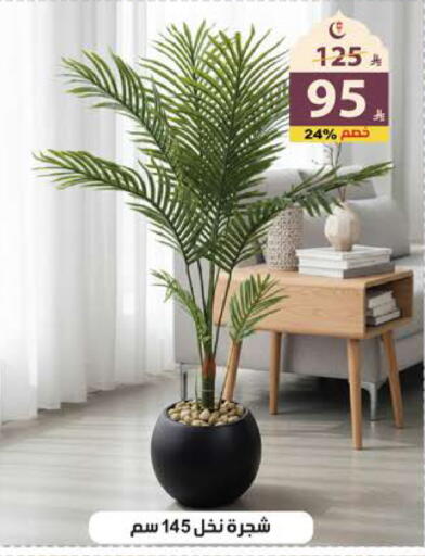 available at Alhadaya Center in KSA, Saudi Arabia, Saudi - Jeddah