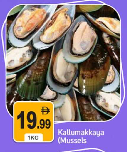 available at سوق طلال in الإمارات العربية المتحدة , الامارات - دبي