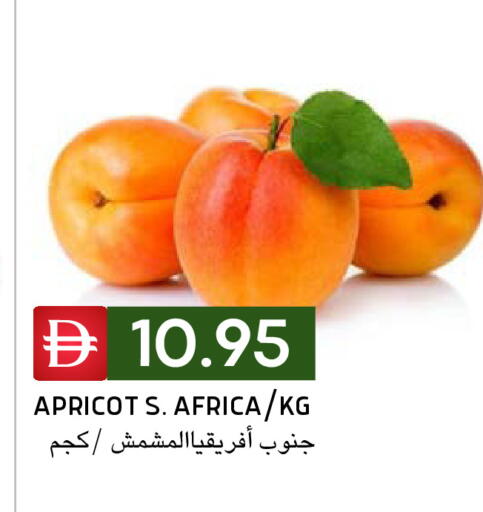 Apricot available at سيليكت ماركت in الإمارات العربية المتحدة , الامارات - أبو ظبي
