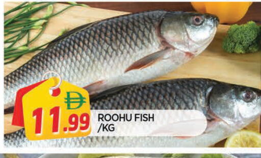 available at AL MADINA in UAE - Sharjah / Ajman