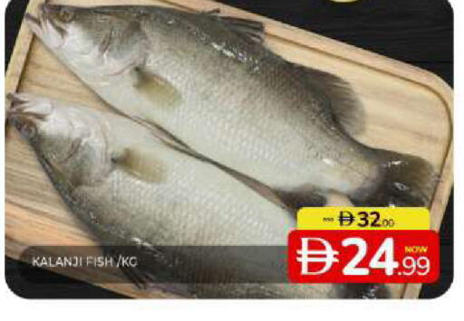 available at Al Madina  in UAE - Sharjah / Ajman