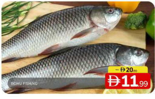 available at Al Madina  in UAE - Sharjah / Ajman