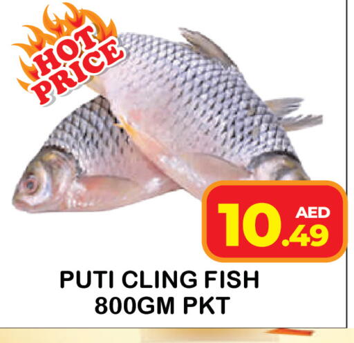 available at سنابل بني ياس in الإمارات العربية المتحدة , الامارات - أم القيوين‎