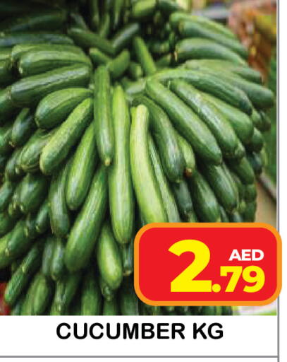 Cucumber available at Baniyas Spike  in UAE - Umm al Quwain