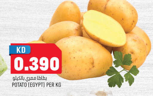 Potato from Egypt available at أونكوست in الكويت - محافظة الجهراء
