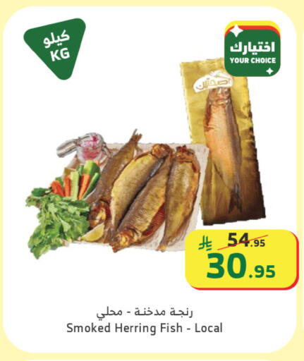 available at Al Raya in KSA, Saudi Arabia, Saudi - Khamis Mushait