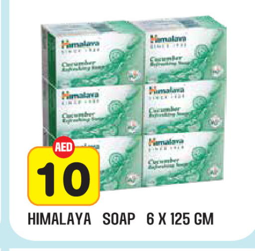 Cucumber available at سنابل بني ياس in الإمارات العربية المتحدة , الامارات - ٱلْعَيْن‎