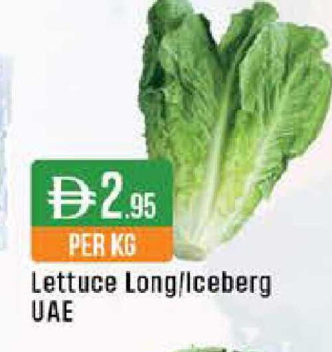 Lettuce available at ويست زون سوبرماركت in الإمارات العربية المتحدة , الامارات - دبي
