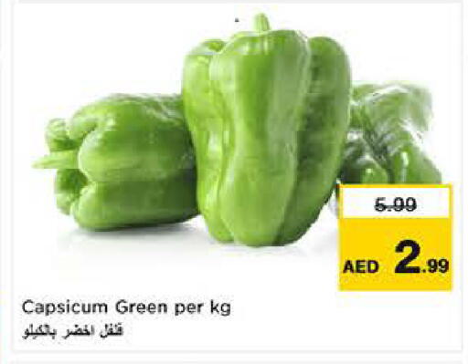 Capsicum available at لاست تشانس in الإمارات العربية المتحدة , الامارات - ٱلْفُجَيْرَة‎
