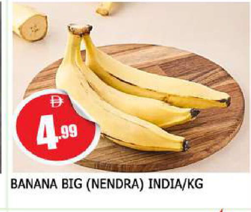 Banana from India available at المدينة in الإمارات العربية المتحدة , الامارات - الشارقة / عجمان