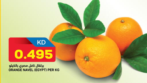 Orange from Egypt available at أونكوست in الكويت - محافظة الجهراء