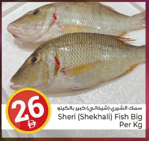 available at كنز هايبرماركت in الإمارات العربية المتحدة , الامارات - الشارقة / عجمان