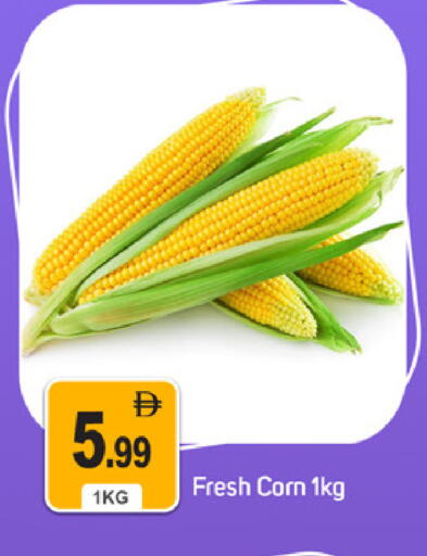 available at سوق طلال in الإمارات العربية المتحدة , الامارات - دبي