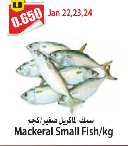 available at 4 سيف مارت in الكويت - مدينة الكويت