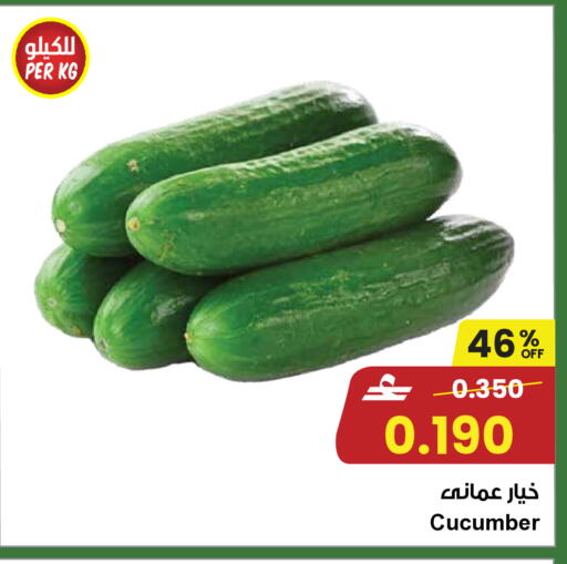 Cucumber available at Sultan Center  in Oman - Sohar
