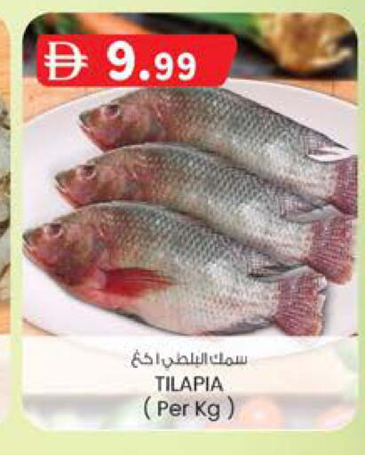 available at ك. الم. للتجارة in الإمارات العربية المتحدة , الامارات - أبو ظبي