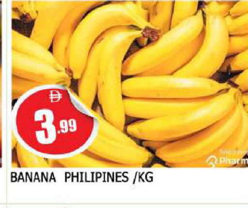 Banana available at المدينة in الإمارات العربية المتحدة , الامارات - الشارقة / عجمان