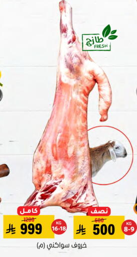 available at Al Amer Market in KSA, Saudi Arabia, Saudi - Al Hasa