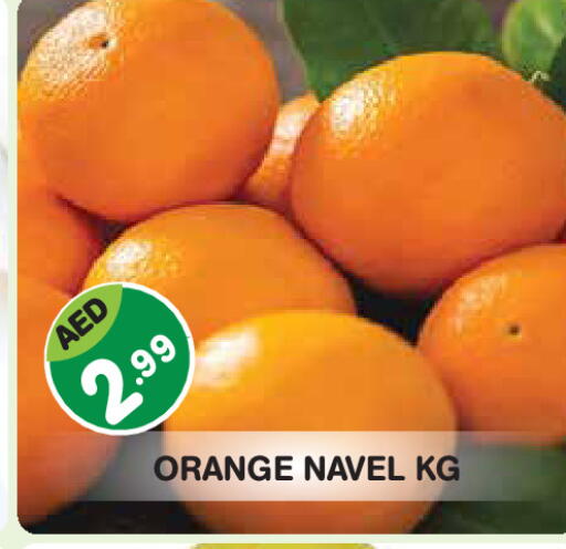 Orange available at سنابل بني ياس in الإمارات العربية المتحدة , الامارات - ٱلْفُجَيْرَة‎