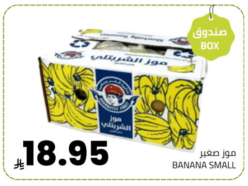 Banana available at Astra Markets in KSA, Saudi Arabia, Saudi - Tabuk