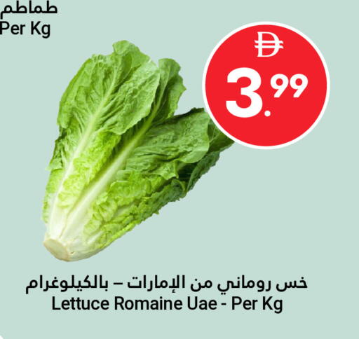 Lettuce available at جراند الإمارات للتسوق in الإمارات العربية المتحدة , الامارات - أبو ظبي