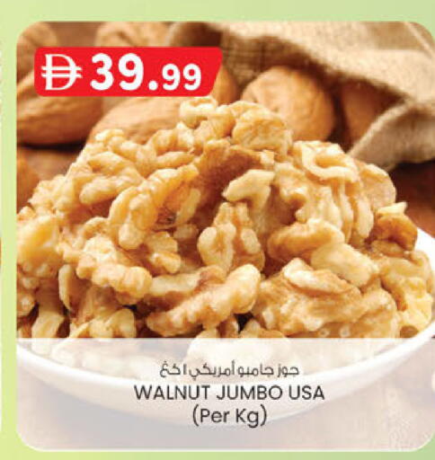 available at الصفا in الإمارات العربية المتحدة , الامارات - أبو ظبي