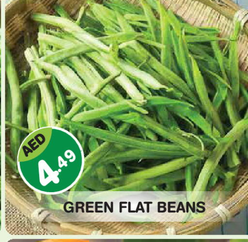 available at سنابل بني ياس in الإمارات العربية المتحدة , الامارات - ٱلْفُجَيْرَة‎