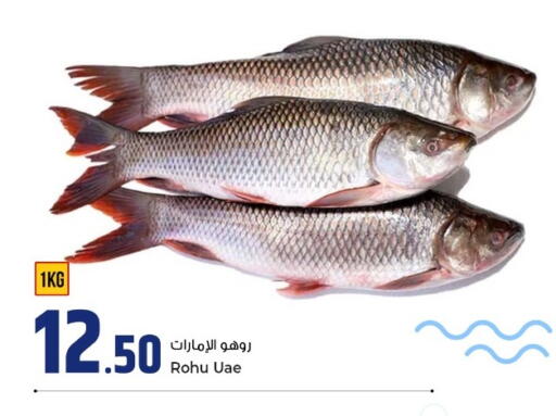 available at Rawabi Hypermarket in Qatar - Al Rayyan