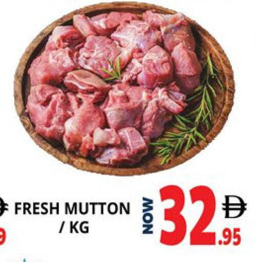 available at اكسبرس المدينة هايبرماركت in الإمارات العربية المتحدة , الامارات - أبو ظبي