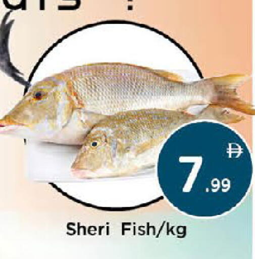 available at AIKO Mall and AIKO Hypermarket in UAE - Al Ain